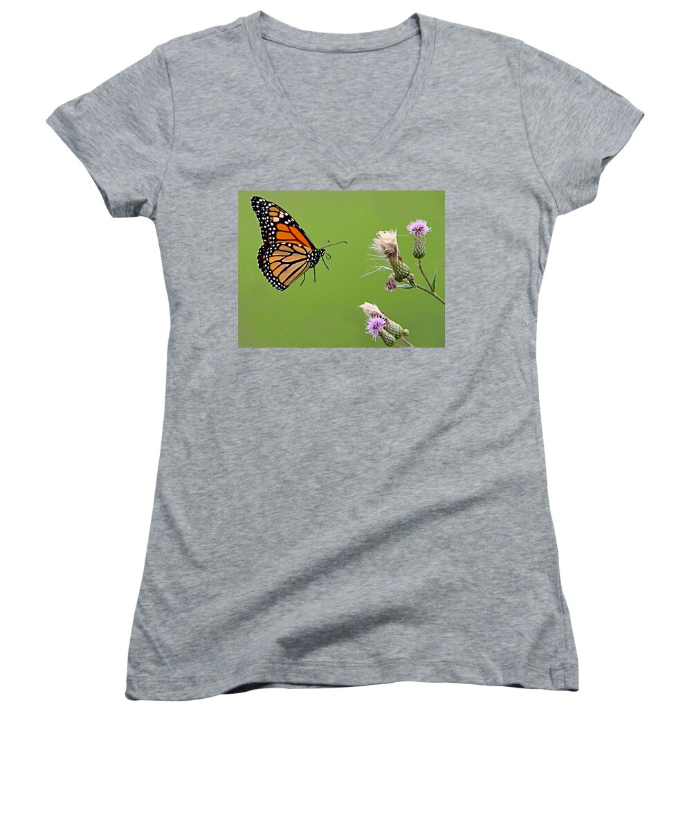 Butterfly Women's V-Neck featuring the photograph Monarch Butterfly by William Jobes