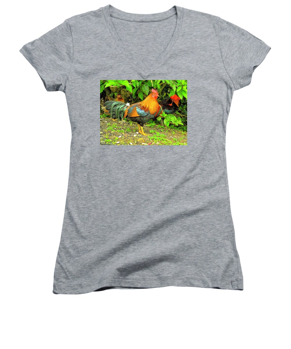 Chicken Women's V-Neck featuring the photograph Moorea Chicken by Bill Barber