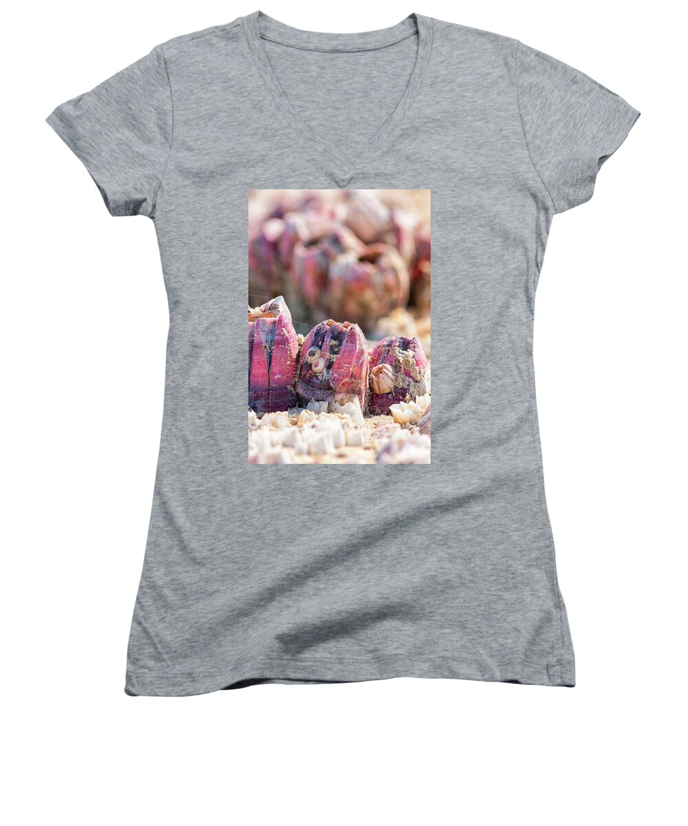 Barnacles Women's V-Neck featuring the photograph More Barnacles by Victor Culpepper