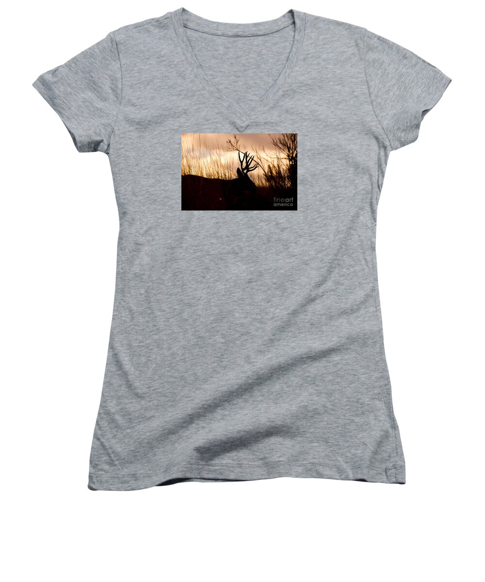 Mule Deer Women's V-Neck featuring the photograph Morning Glow by Douglas Kikendall
