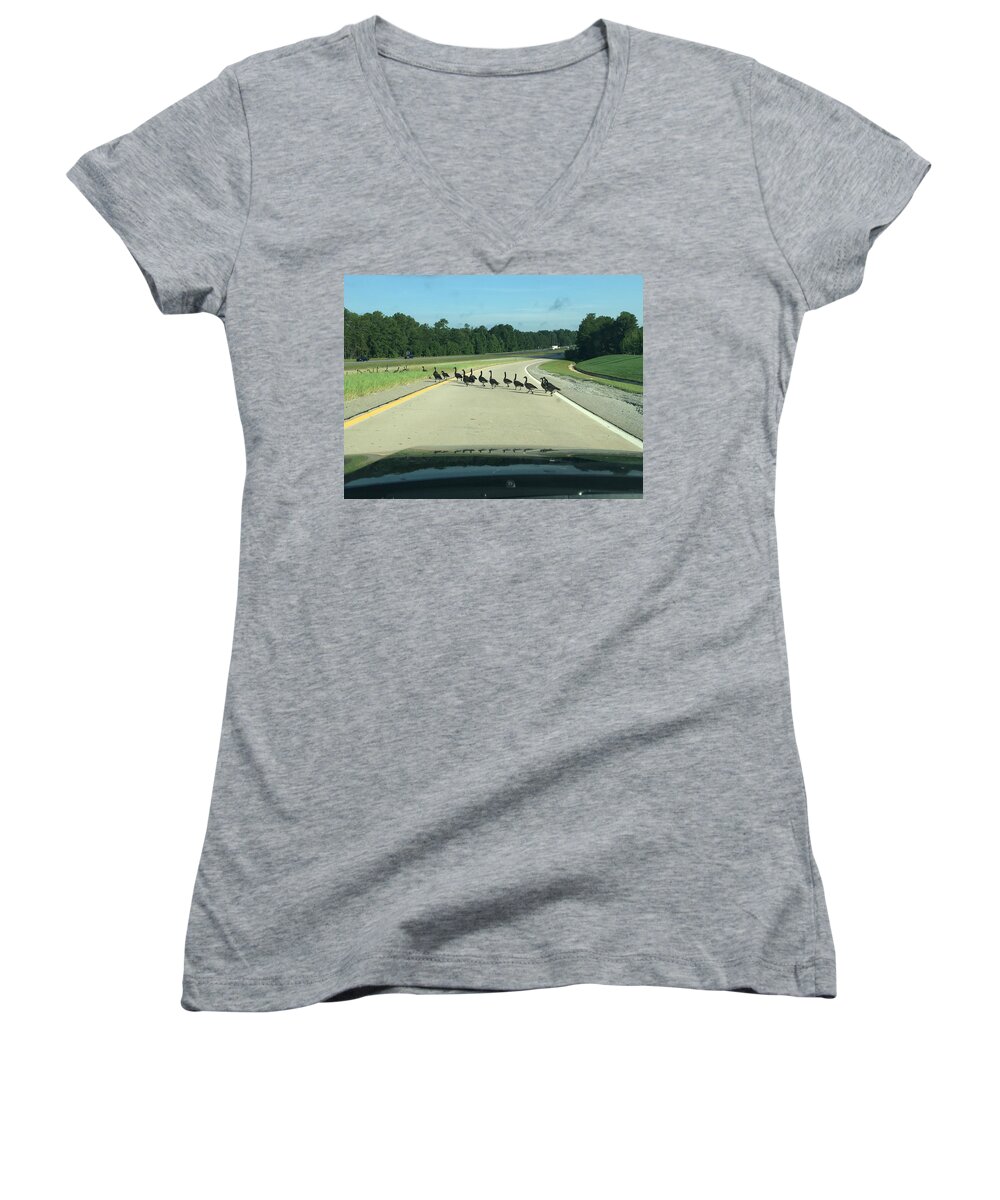 Geese Women's V-Neck featuring the photograph Morning Walk by Matthew Seufer
