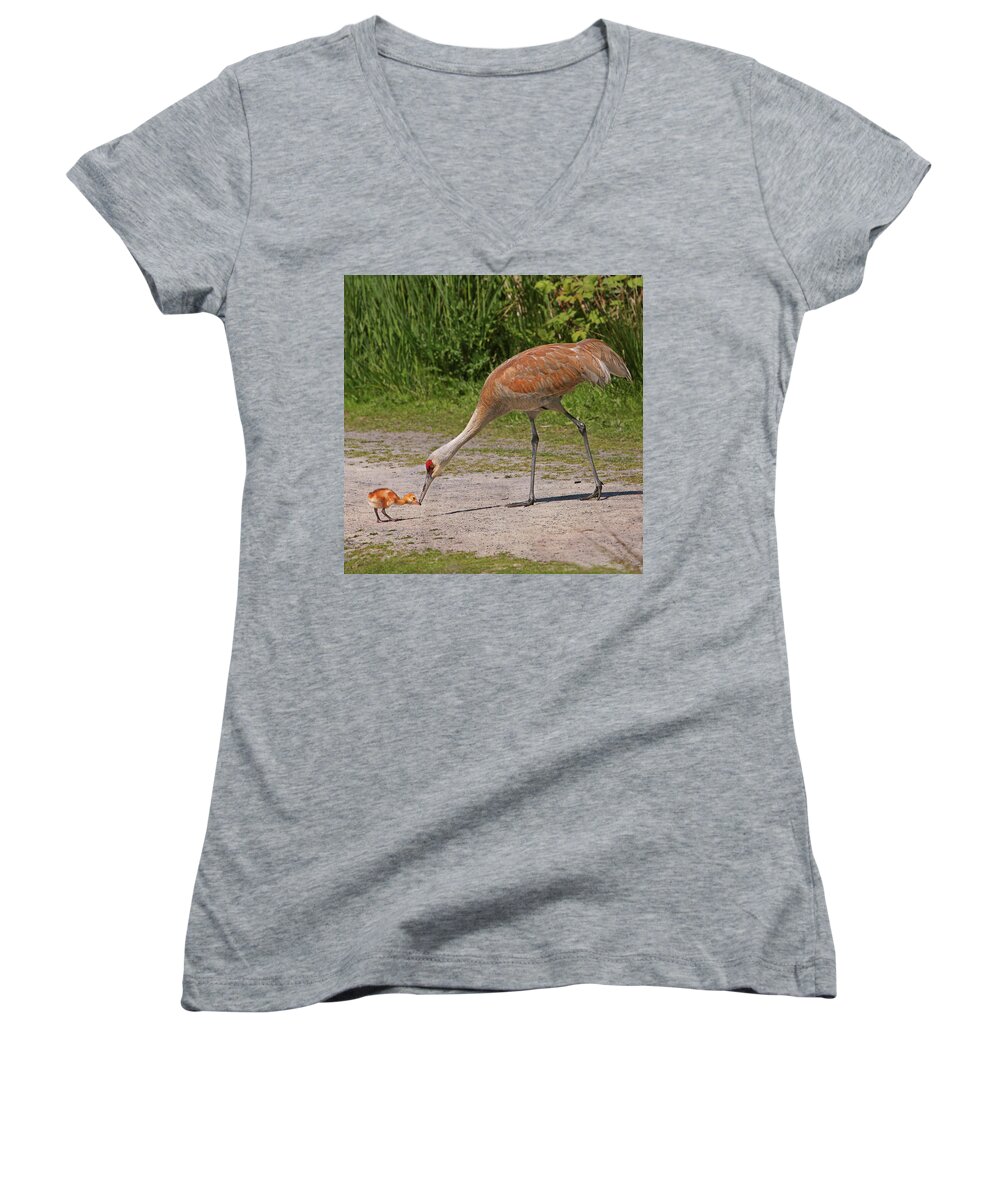 Sandhill Crane Women's V-Neck featuring the photograph Mother Sandhill Crane Feeding Baby by Peggy Collins