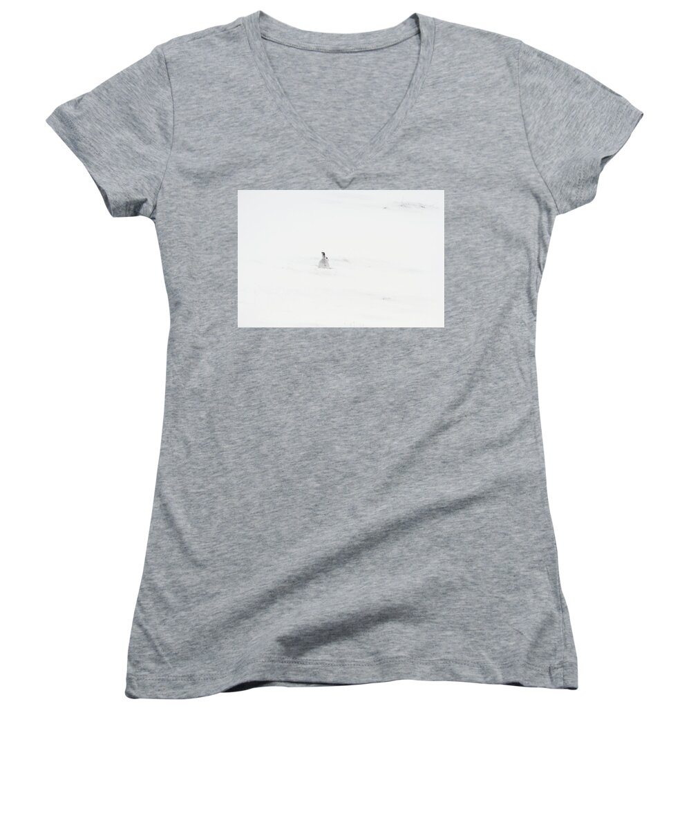 Mountain Women's V-Neck featuring the photograph Mountain Hare Small In Frame Left by Pete Walkden