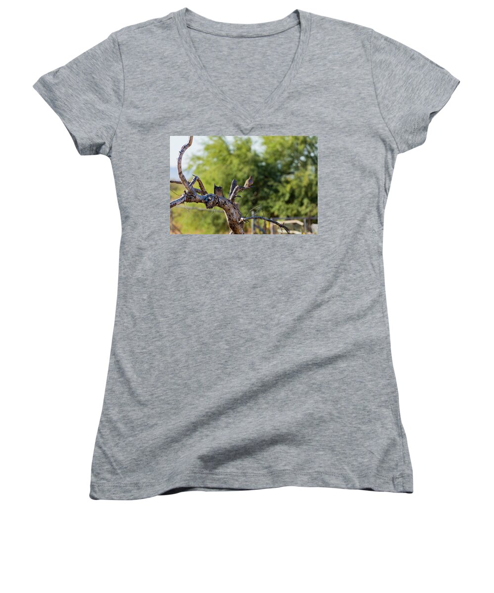 Mourning Women's V-Neck featuring the photograph Mourning Dove in Old Tree by Douglas Killourie