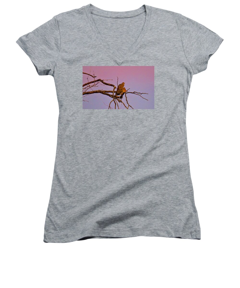 Arizona Women's V-Neck featuring the photograph Mourning Doves by Judy Kennedy