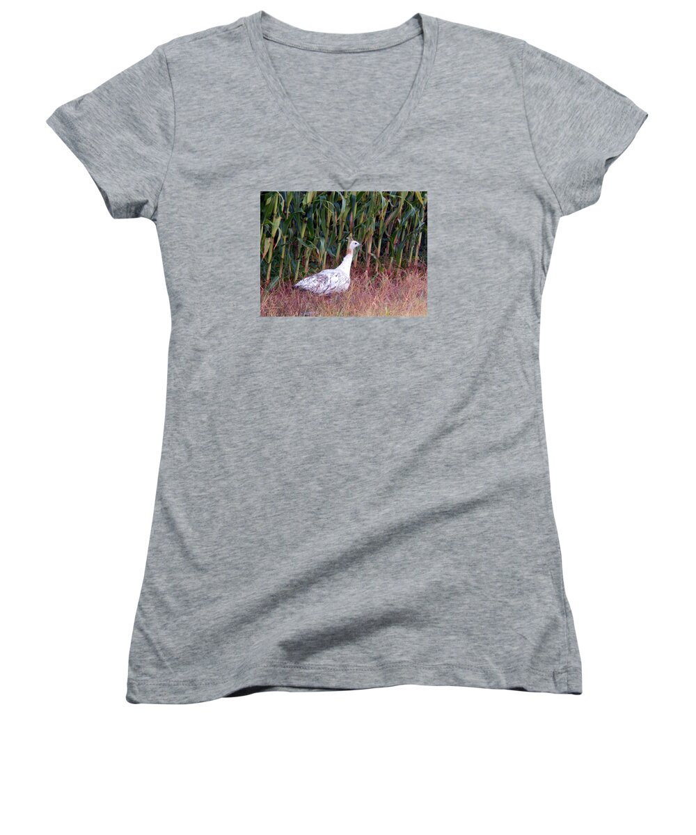 Summertime Women's V-Neck featuring the photograph Ms Giddygaddy Takes a Stroll by Wild Thing