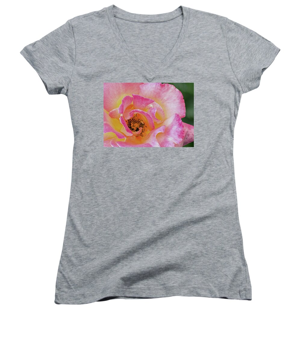 Flower Women's V-Neck featuring the photograph Nature's Beauty by Ed Clark