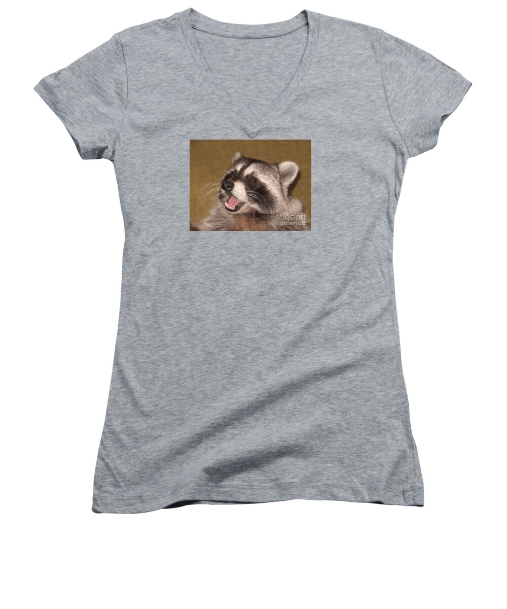 Raccoon Women's V-Neck featuring the photograph Nicky by Fortunate Findings Shirley Dickerson
