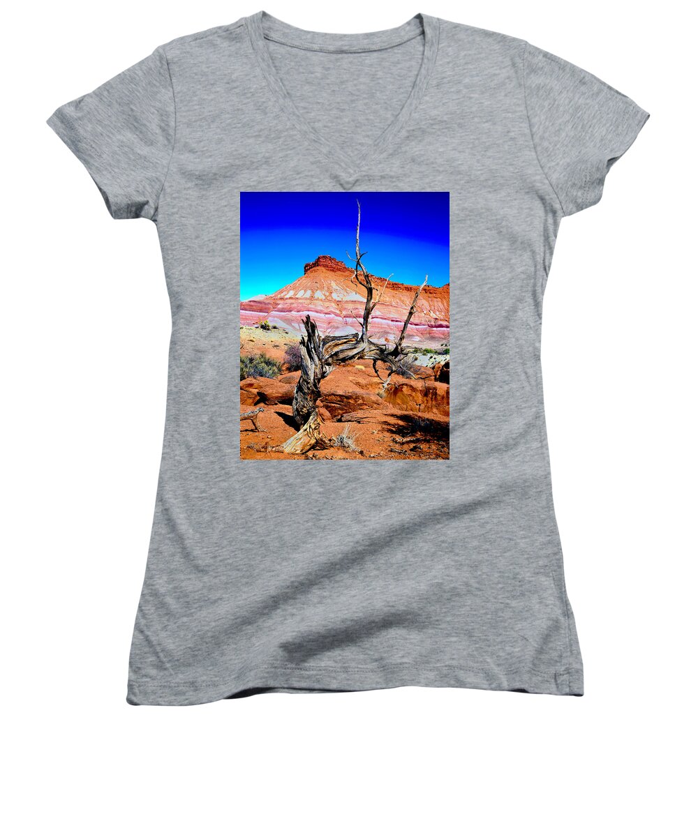 Vermilion Cliff/ Paria Wilderness Area Women's V-Neck featuring the photograph Old-Timer by Frank Houck