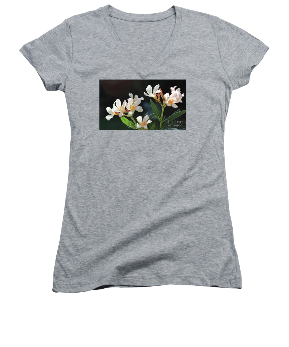 Oleander Women's V-Neck featuring the photograph Oleander Petite Salmon 2 by Wilhelm Hufnagl