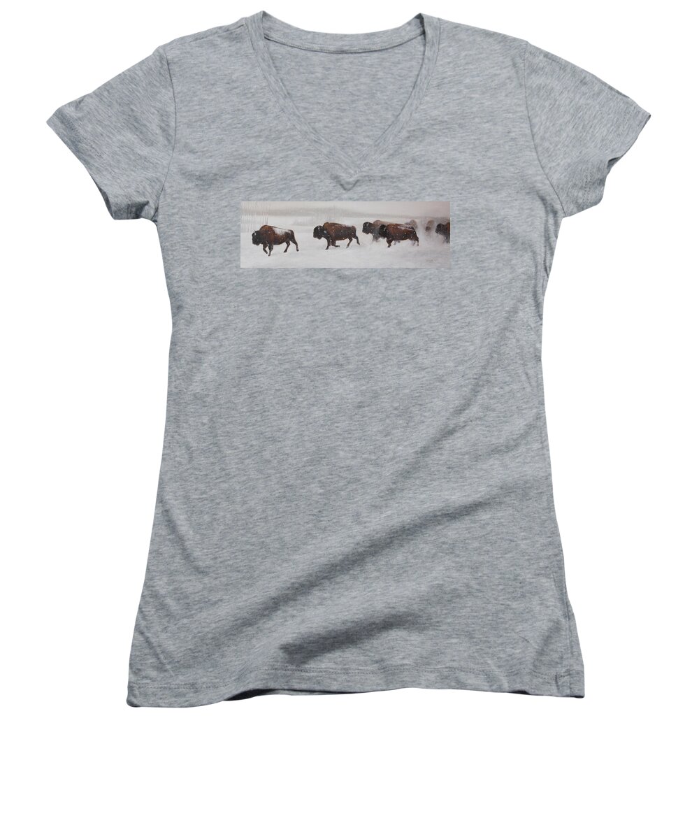 Buffalo Women's V-Neck featuring the painting On The Move by Tammy Taylor