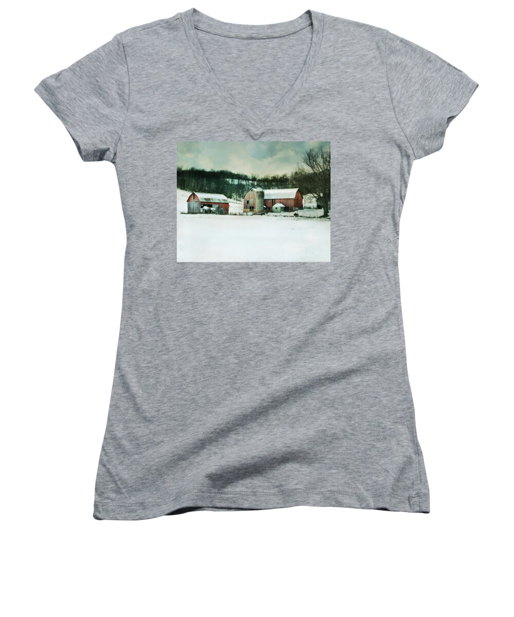 Barn Women's V-Neck featuring the photograph Once was Special by Julie Hamilton