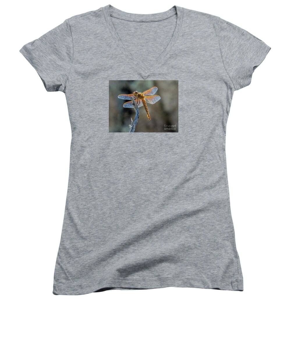 Nature Women's V-Neck featuring the photograph Dragonfly 6 by Christy Garavetto