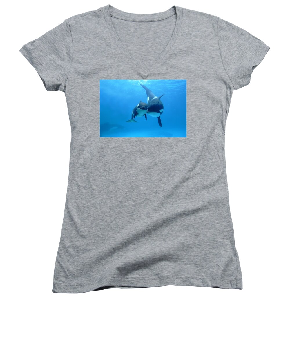 Mp Women's V-Neck featuring the photograph Orca Mother And Newborn by Hiroya Minakuchi
