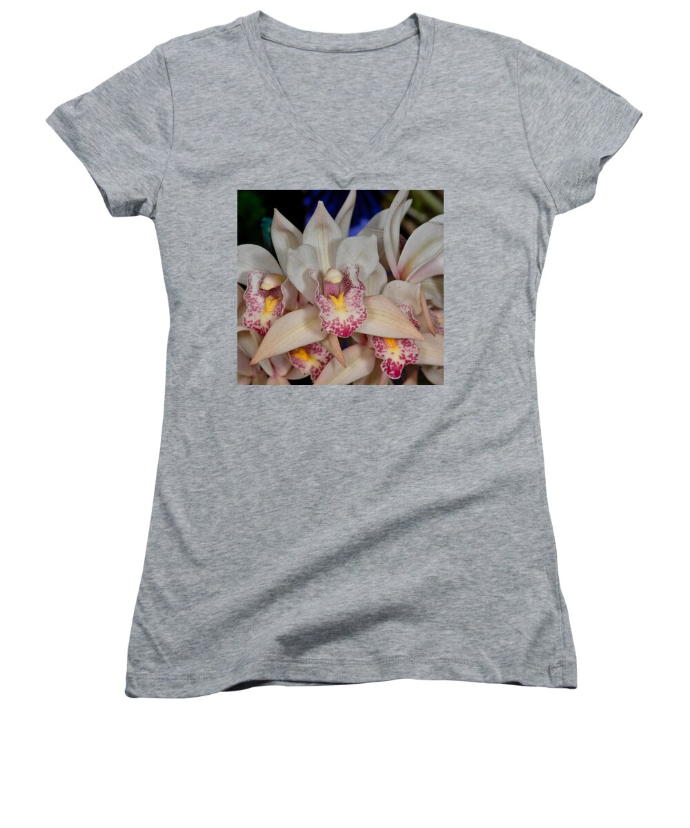 Orchid Women's V-Neck featuring the photograph Orchid 348 by Wesley Elsberry