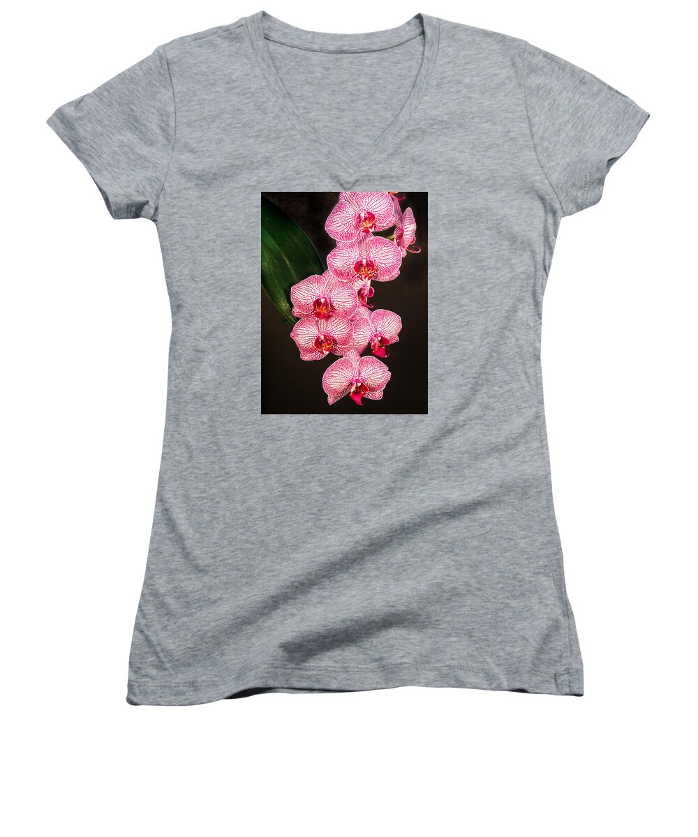 Phalaenopsis Women's V-Neck featuring the photograph Orchid by Paula Ponath