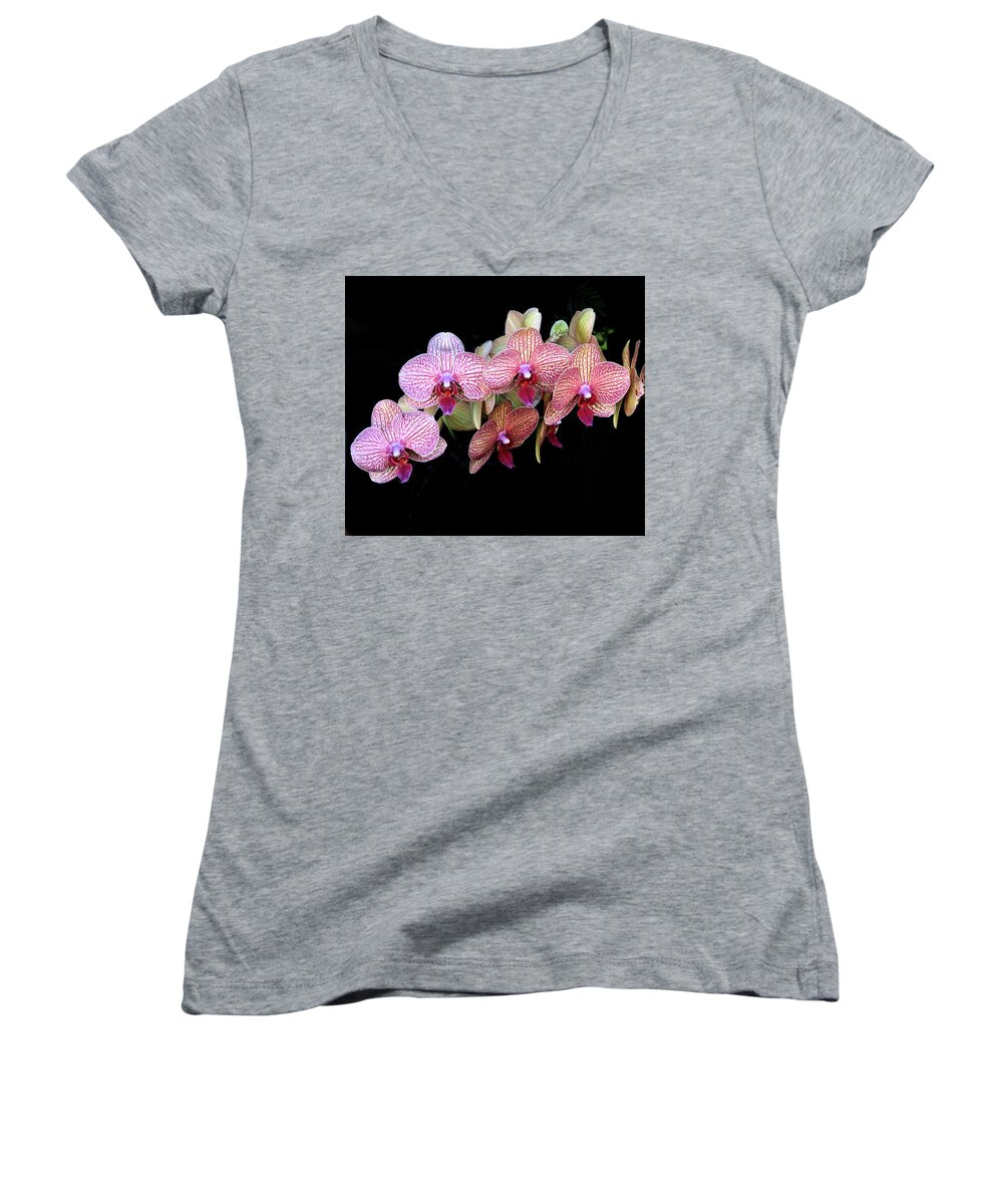 Orchid Women's V-Neck featuring the photograph Orchids on Black by Rosalie Scanlon