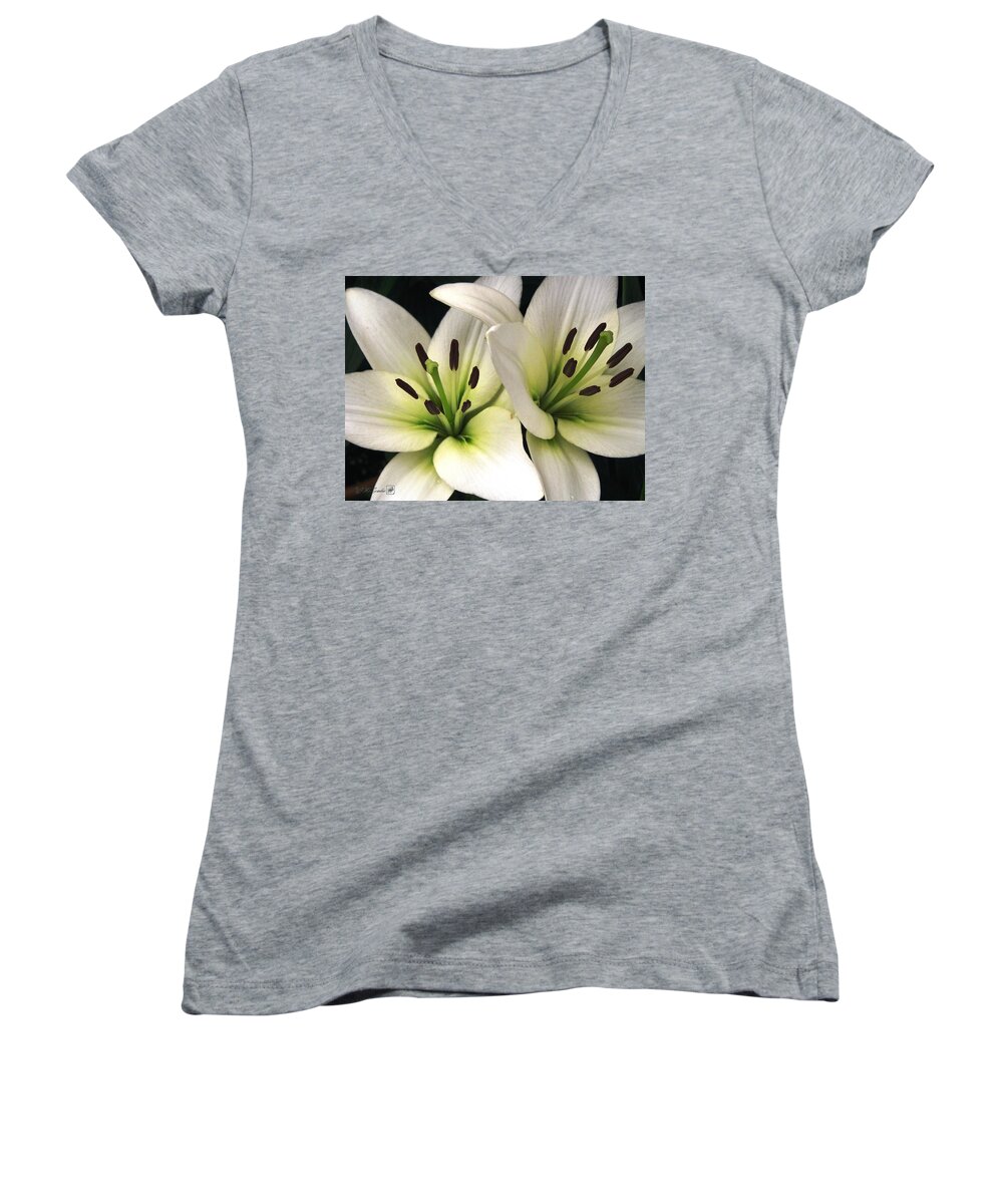 Oriental Lily Women's V-Neck featuring the photograph Oriental Lily named Endless Love by J McCombie