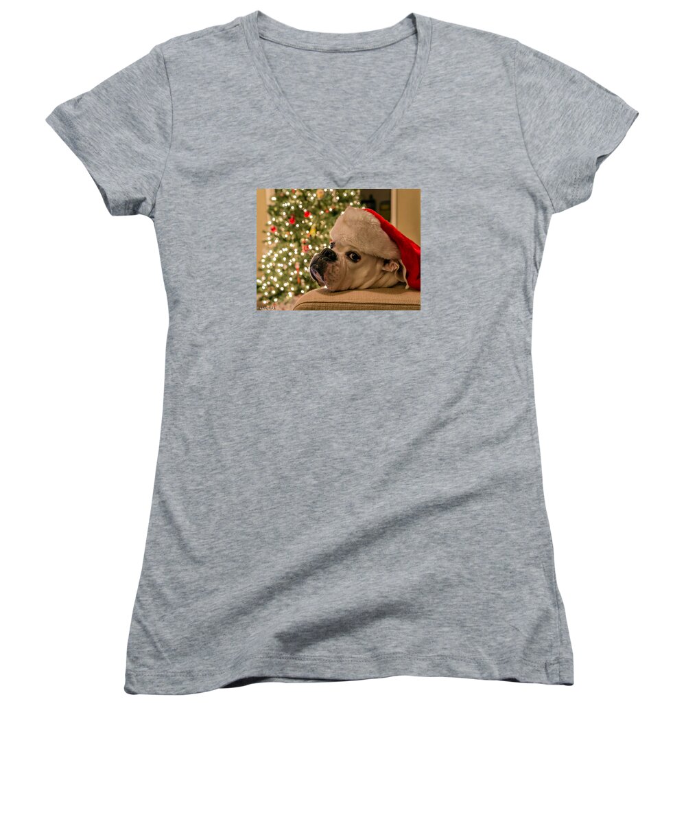 Otis Women's V-Neck featuring the photograph Otis Claus by Mike Ronnebeck