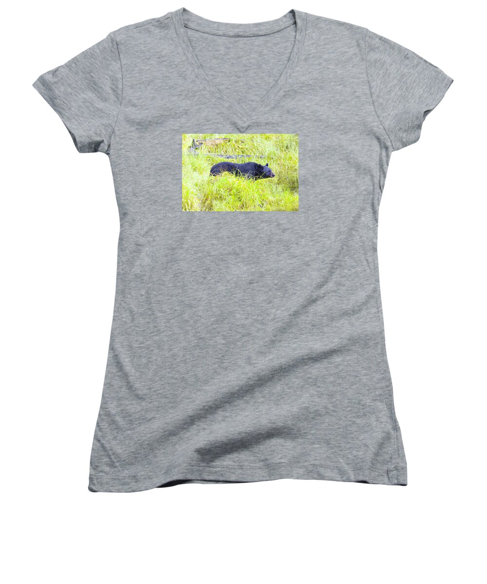 Wildlife. Black Bear Women's V-Neck featuring the photograph Out Standing in his Field by Harold Piskiel