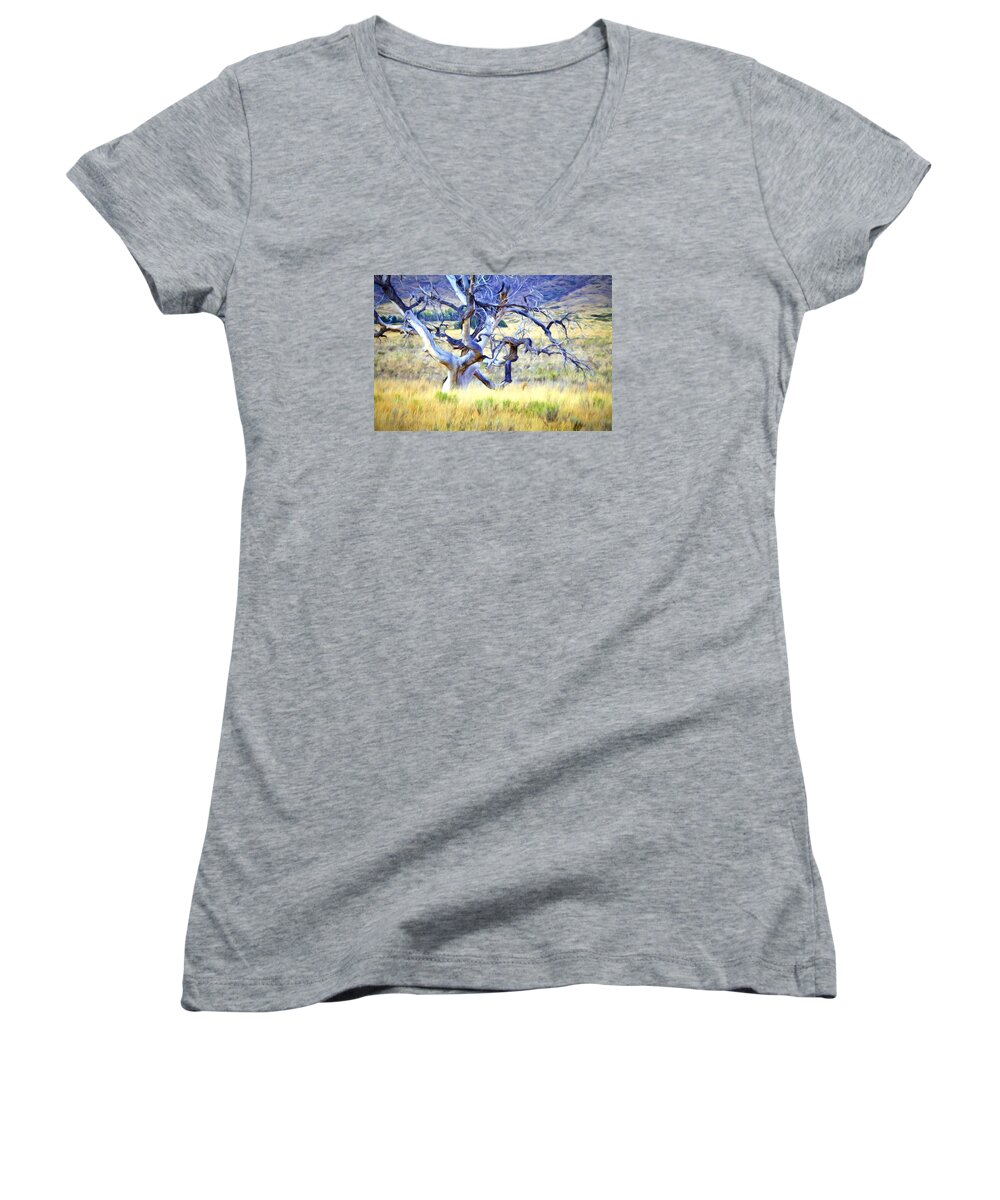 Mixed Media Digital Art. Mixed Media Photoart. Mixed Media Colorado Photography. Fine Art. Photoart. Trees. Fields. Old Trees. Old Barns. Photography. Cameras. Lens. Tripods. Camera Bags.mountain Women's V-Neck featuring the digital art Out Standing In My Field by James Steele