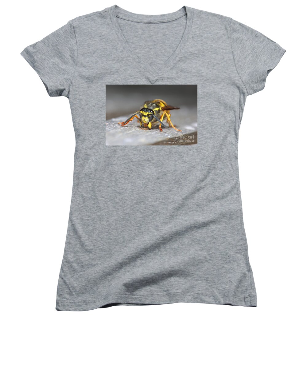 Queen German Wasp Women's V-Neck featuring the photograph Paper Maker by Warren Photographic