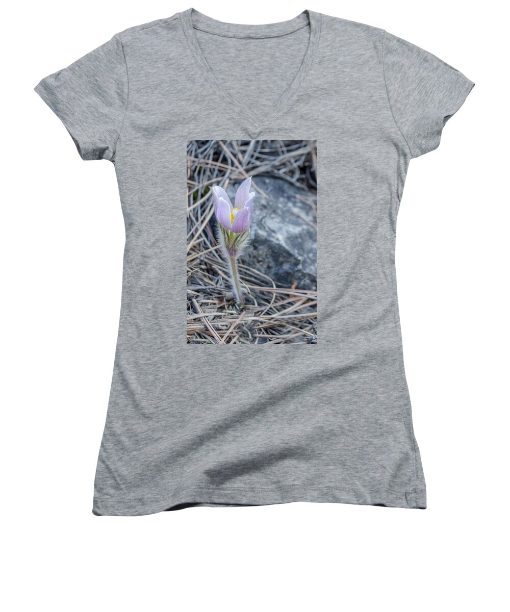 Pasqueflower Women's V-Neck featuring the photograph Pasque on the Rocks by Greni Graph