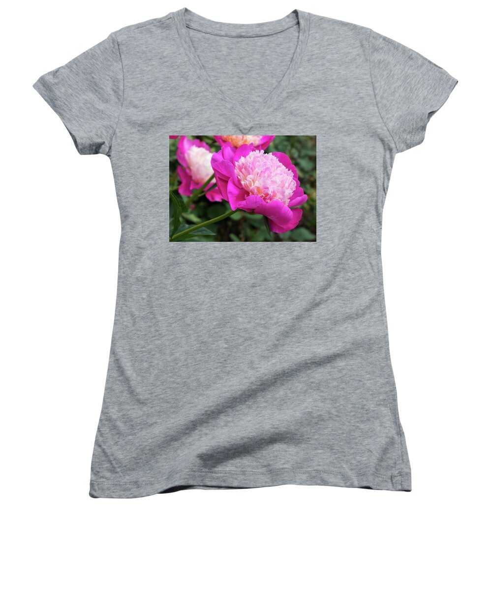 Peony Women's V-Neck featuring the photograph Peony by Chris Berrier