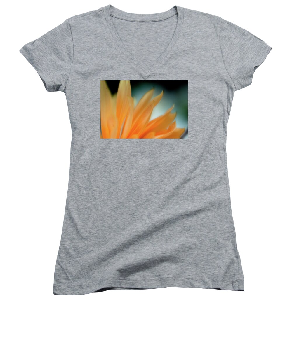 Blooms Women's V-Neck featuring the photograph Petal Disaray by Greg Nyquist