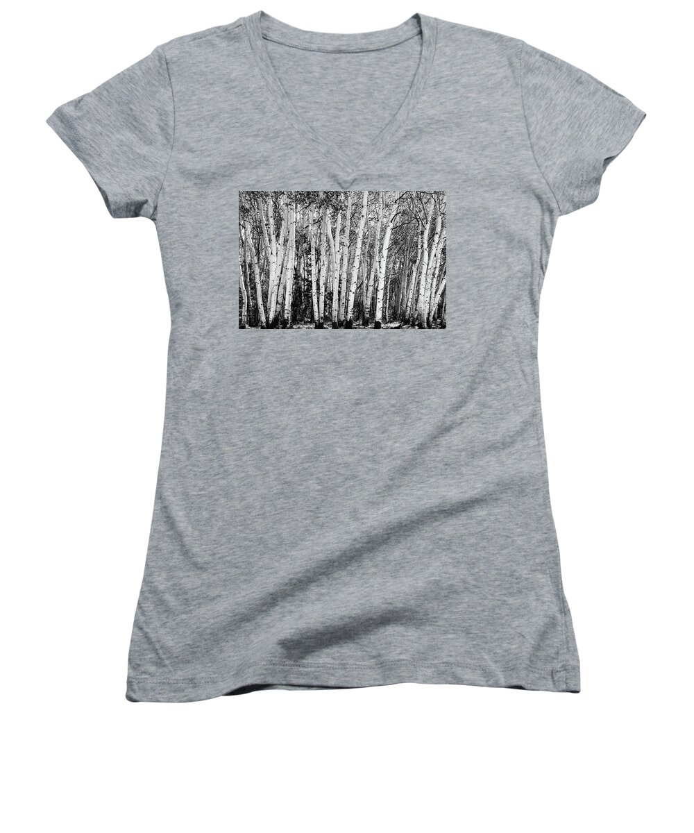 Sangre De Cristo Mountains Women's V-Neck featuring the photograph Pillars Of The Wilderness by James BO Insogna