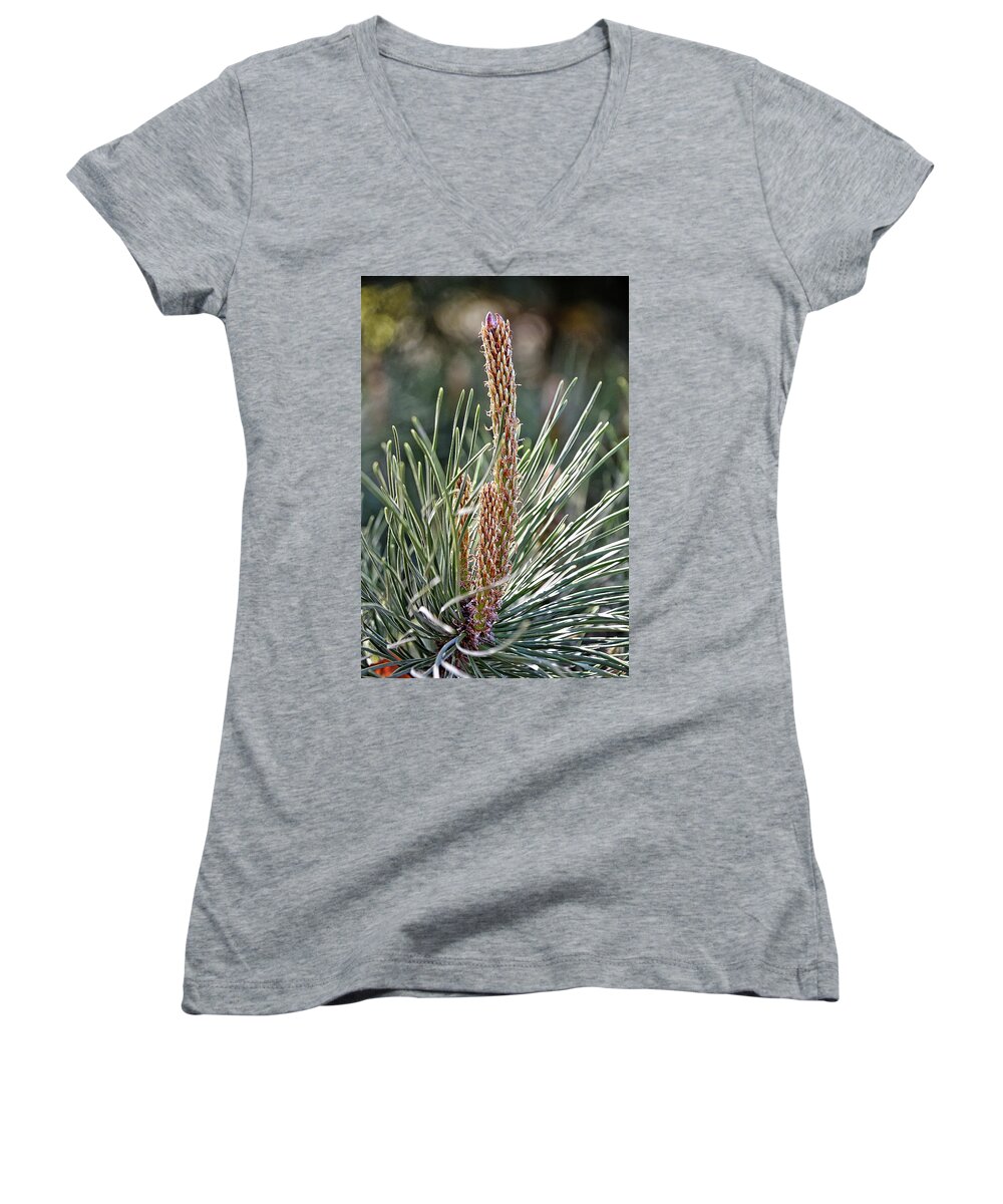 Pine Women's V-Neck featuring the photograph Pine Shoots by Kuni Photography