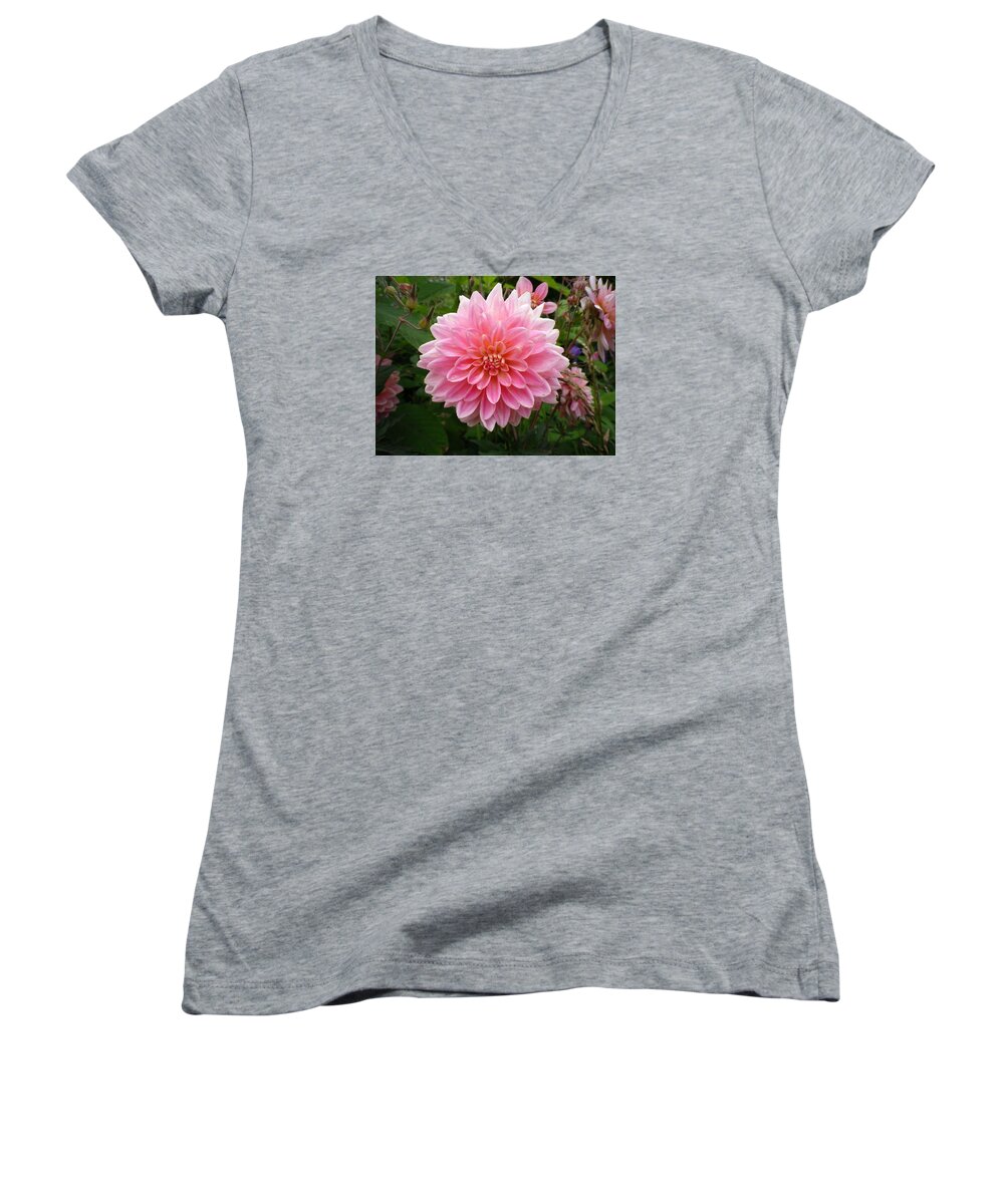 Dahlia Women's V-Neck featuring the photograph Pink Dahlia by Richard Brookes