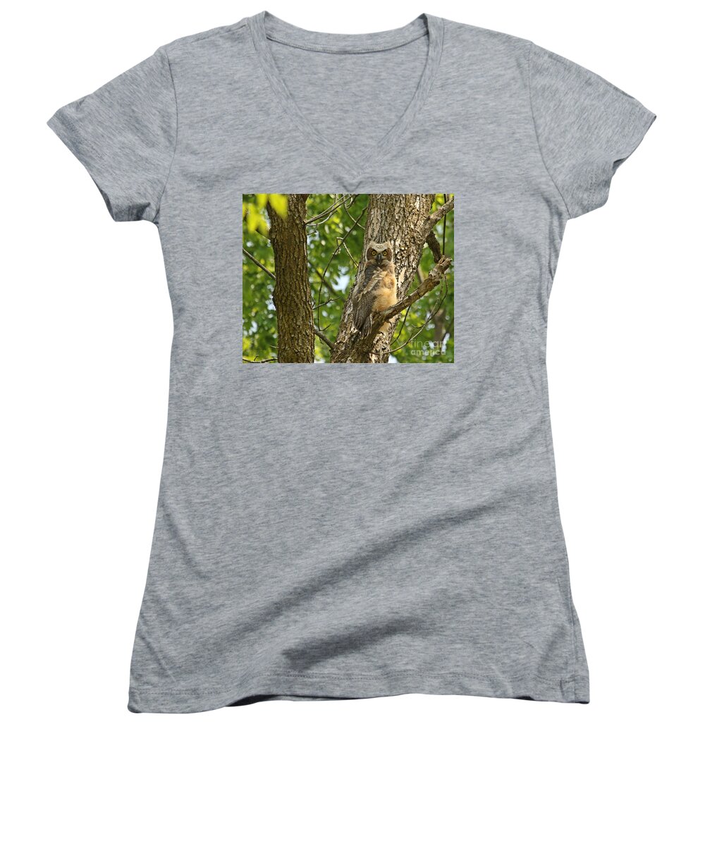 Owl Decor Women's V-Neck featuring the photograph Pleasantly surprised by Heather King