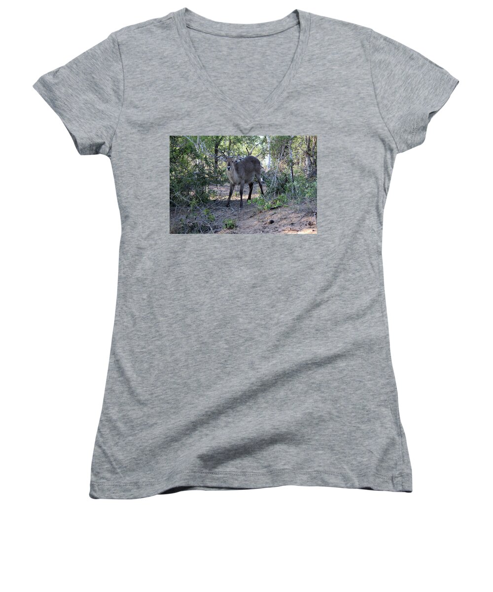 South Women's V-Neck featuring the photograph Please don't hurt me by Samantha Delory