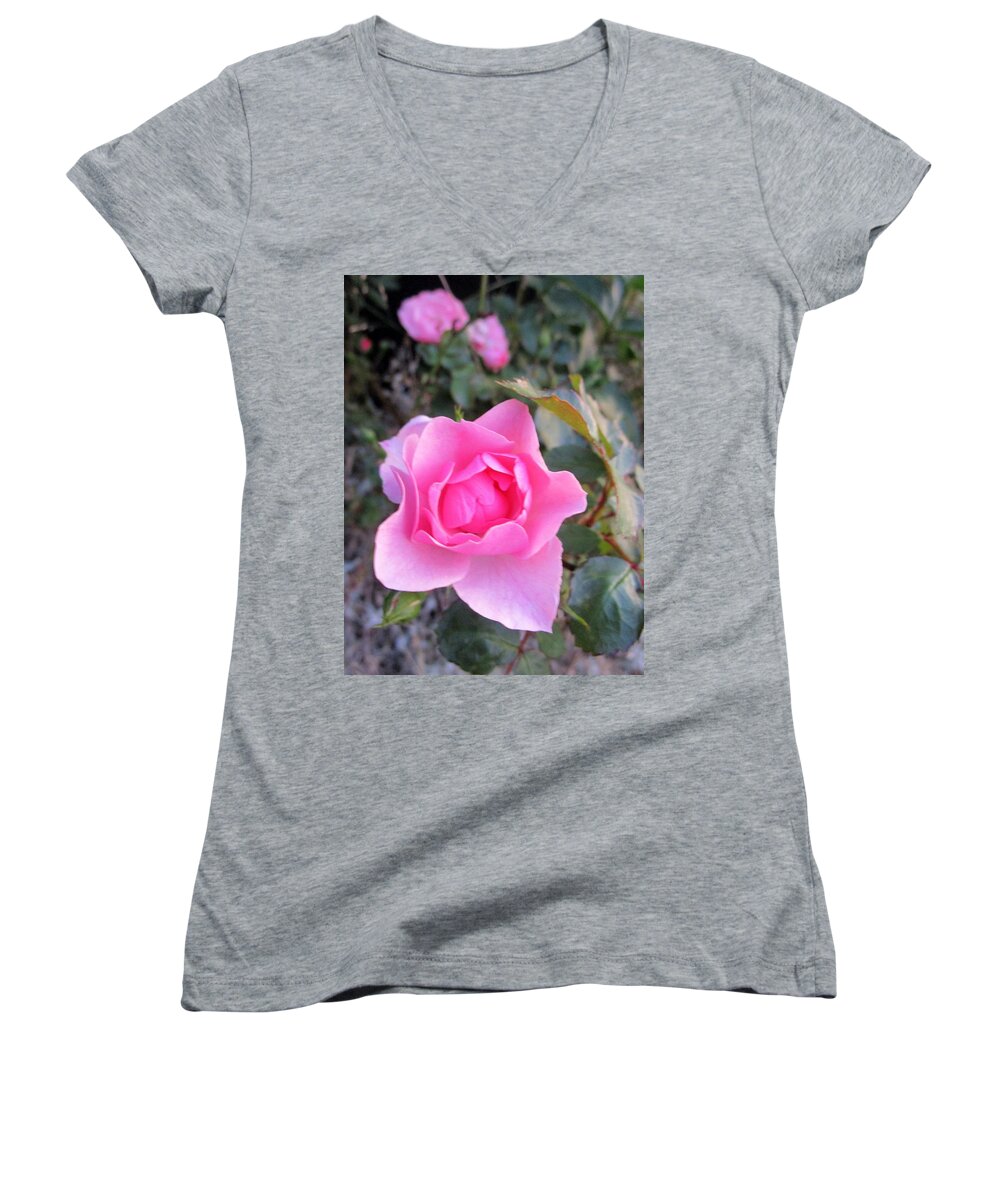 Rosehip Women's V-Neck featuring the photograph Pleasing my senses by Rosita Larsson