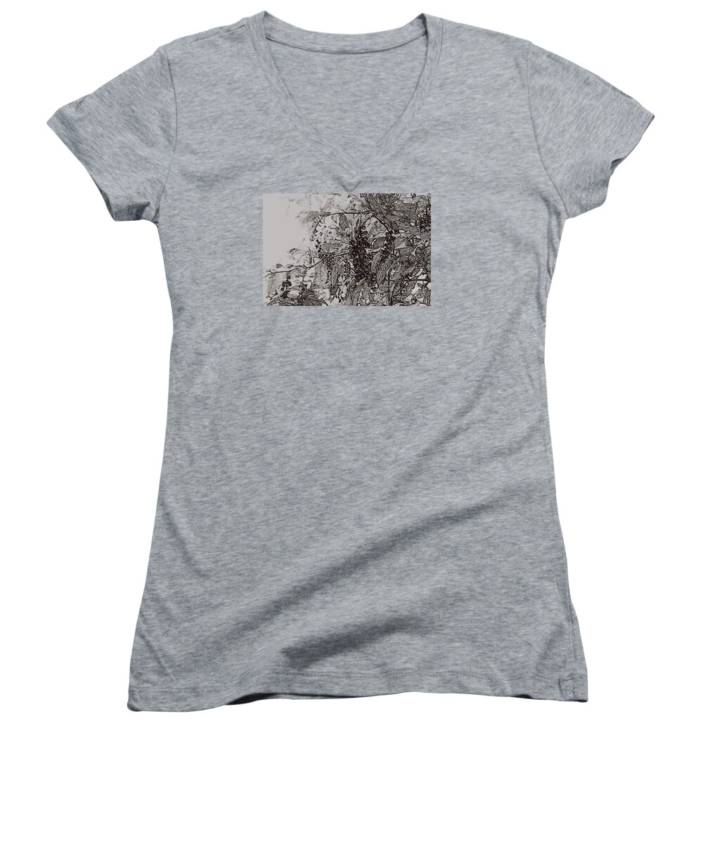 Pokeweed Women's V-Neck featuring the photograph Pokeweed by Linda Shafer
