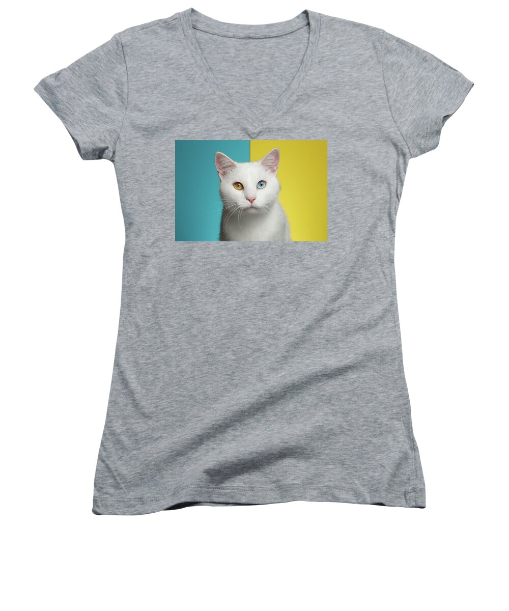 Cat Women's V-Neck featuring the photograph Portrait of White Cat on Blue and Yellow Background by Sergey Taran