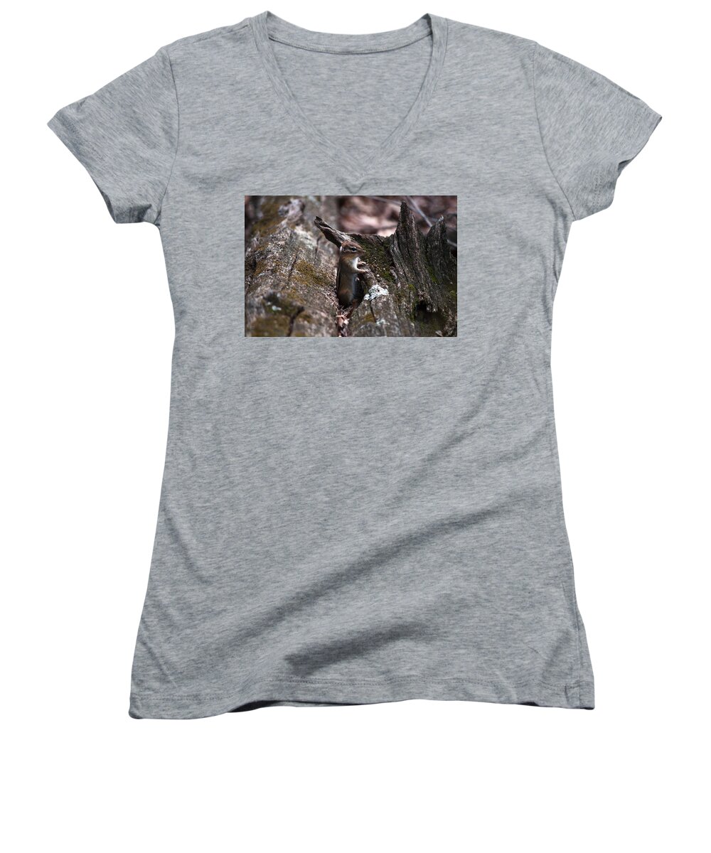 Wildlife Women's V-Neck featuring the photograph Posing #1 by Jeff Severson