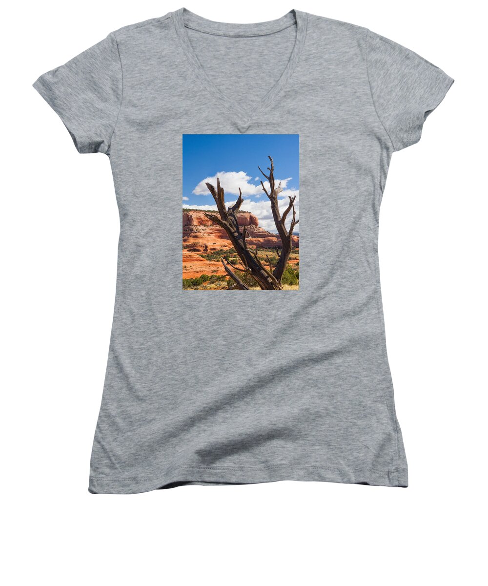 Utah Women's V-Neck featuring the photograph Preserved by Daniel George