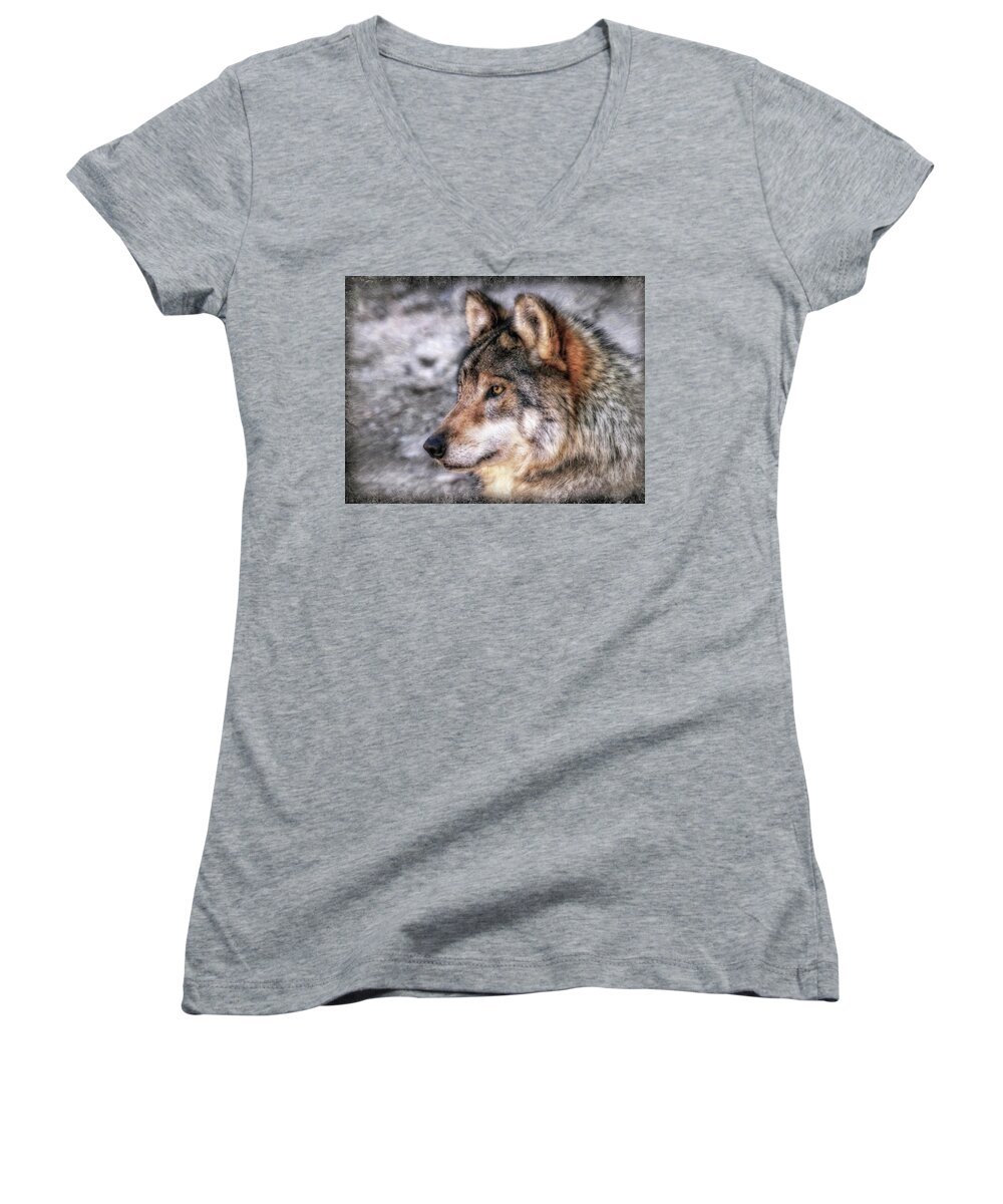 Mexican Grey Wolf Women's V-Neck featuring the photograph Profiling by Elaine Malott