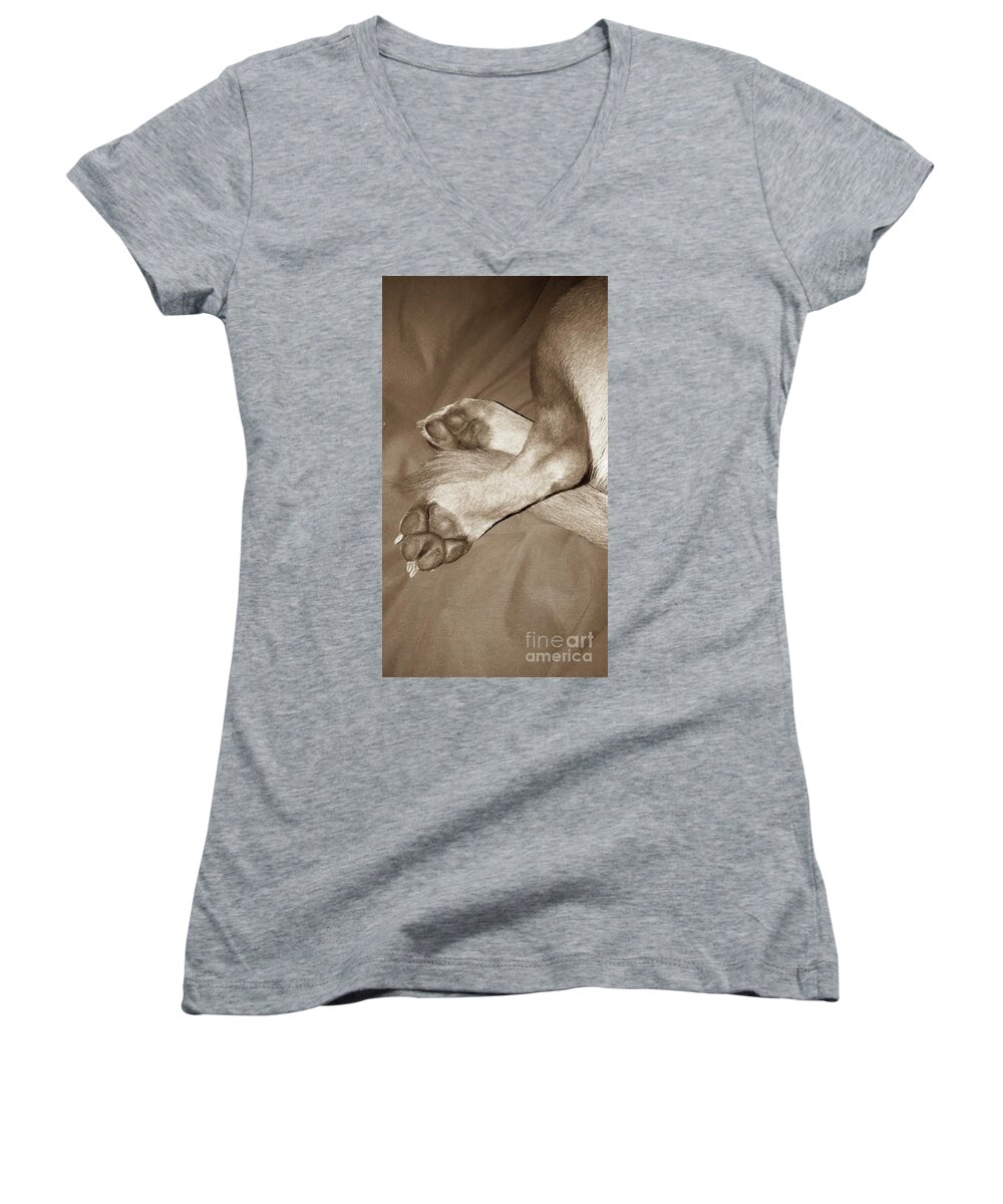 Puppy Women's V-Neck featuring the photograph Puppy Love by Tiziana Maniezzo