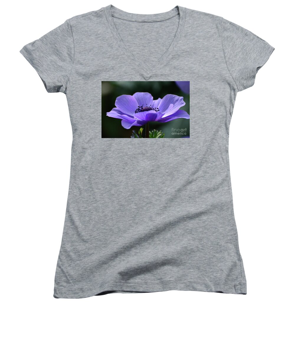 Flowers Women's V-Neck featuring the photograph Purple Poppy Mona Lisa by Cindy Manero