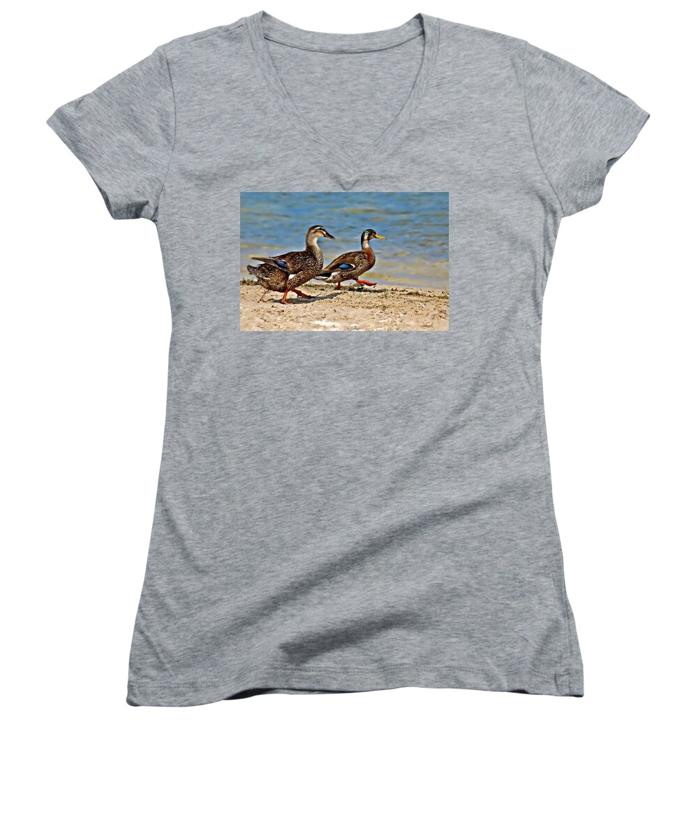 Ducks Women's V-Neck featuring the photograph Race You To The Water by Carolyn Marshall