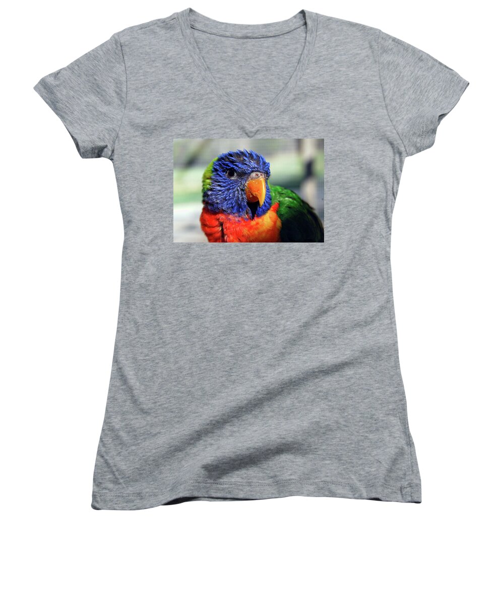 Rainbow Women's V-Neck featuring the photograph Rainbow Lorikeet by Amber Flowers