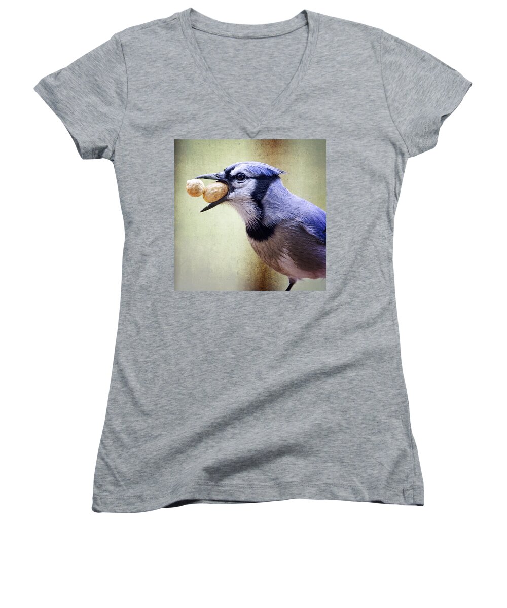 Birds Women's V-Neck featuring the photograph Rainy Day Blue Jay by Al Mueller