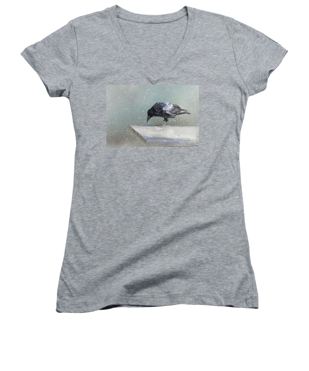 Common Raven Women's V-Neck featuring the photograph Raven in Winter by Eva Lechner
