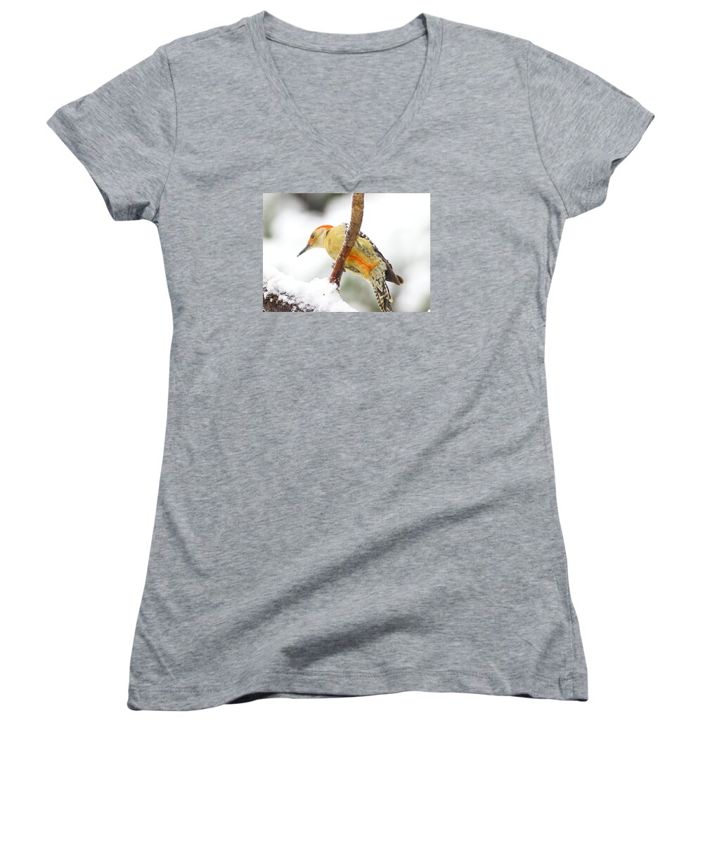 Red-bellied Woodpecker Women's V-Neck featuring the photograph Red-bellied Woodpecker With Snow by Daniel Reed