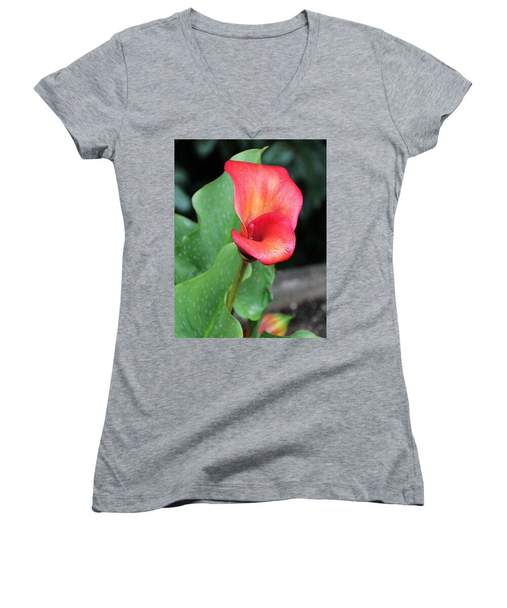 Proud Women's V-Neck featuring the photograph Red Calla Lily by KATIE Vigil