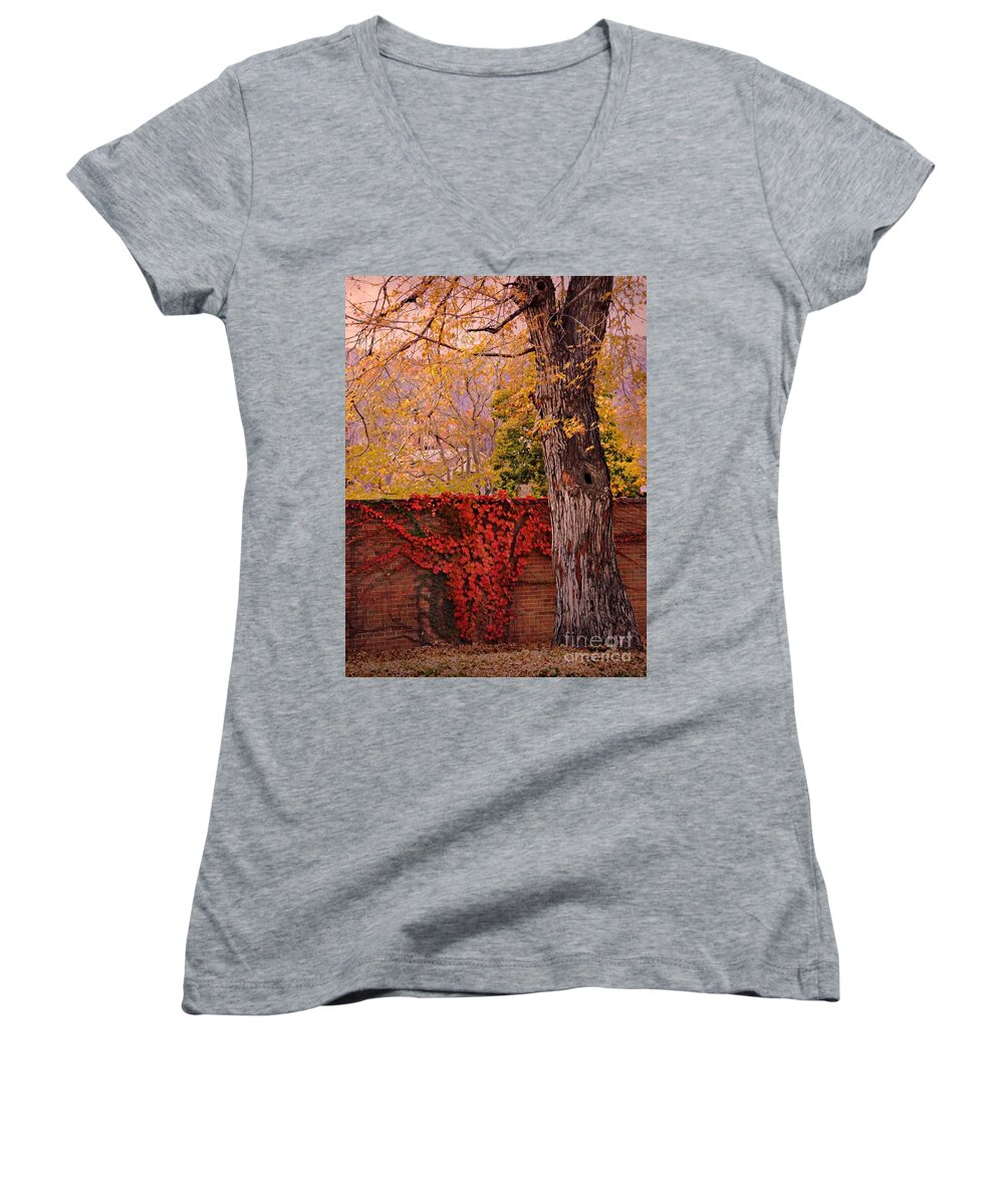 Fall Colors In Town Of Golden Women's V-Neck featuring the digital art Red Vine with Maple Tree by Annie Gibbons