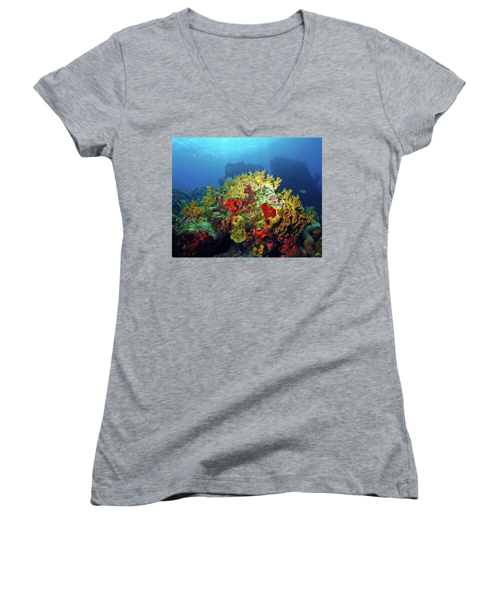 Coral Reef Women's V-Neck featuring the photograph Reef Scene with Divers Bubbles by Pauline Walsh Jacobson